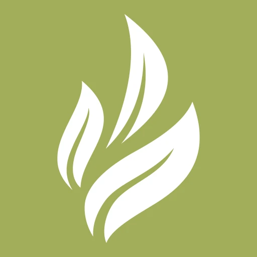 Objetivo Vientre Plano