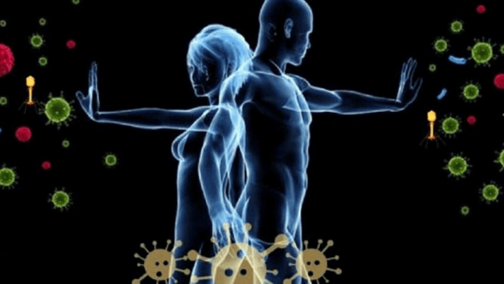 Fortalecer el sistema inmunitario con inteligencia artificial adaptativa y hábitos saludables del método Objetivo Vientre Plano.